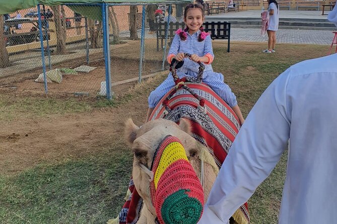 Dubai: All Inclusive Desert Safari with ATV, Camel, Horse ride, Vip & more - Who should book this desert safari?