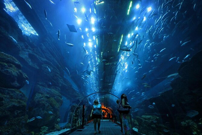Dubai Aquarium and Underwater Zoo Admission Ticket with Options - Key points to know before you book