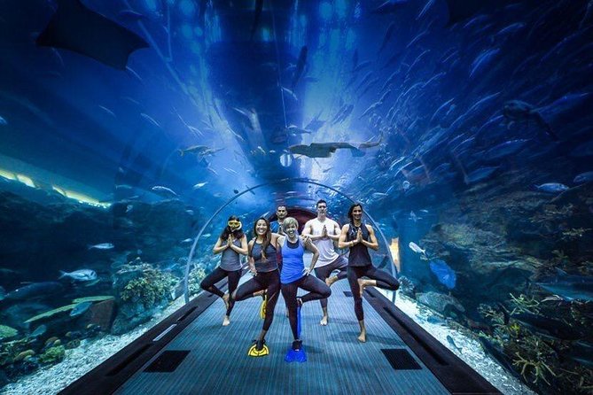 Dubai Aquarium and Underwater Zoo Admission Ticket with Options - The main event inside Dubai Mall