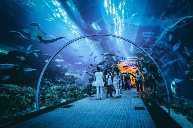 Dubai Aquarium and Underwater Zoo Admission Ticket with Options - Choosing the right ticket option
