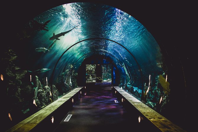 Dubai Aquarium and Underwater Zoo Admission Ticket with Options - How long you should plan to stay