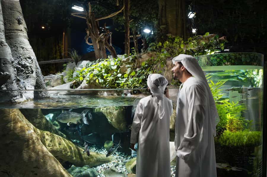 Dubai: Aquarium and Underwater Zoo Experience - Key points to know before you go