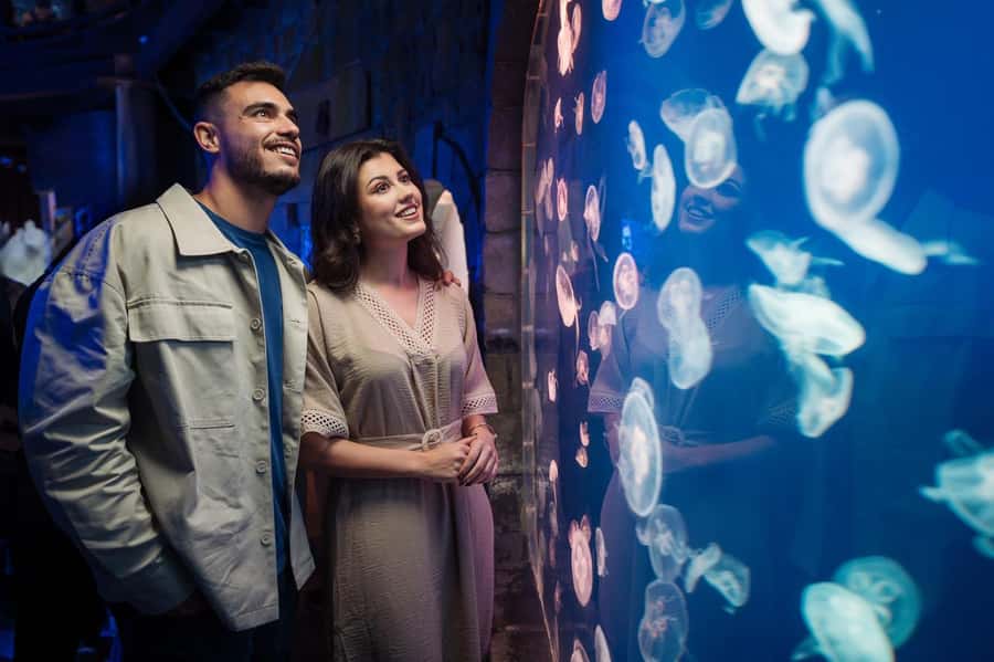 Dubai: Aquarium and Underwater Zoo Experience - A giant aquarium inside Dubai Mall