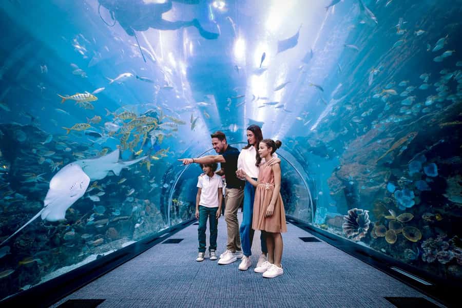 Dubai: Aquarium and Underwater Zoo Experience - Three habitat zones in the Underwater Zoo