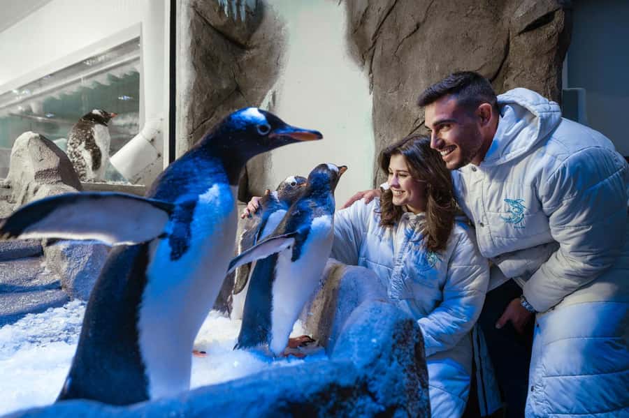 Dubai: Aquarium and Underwater Zoo Experience - Who will enjoy this most