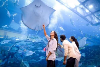 Dubai Aquarium + Sky Views Observatory Tickets