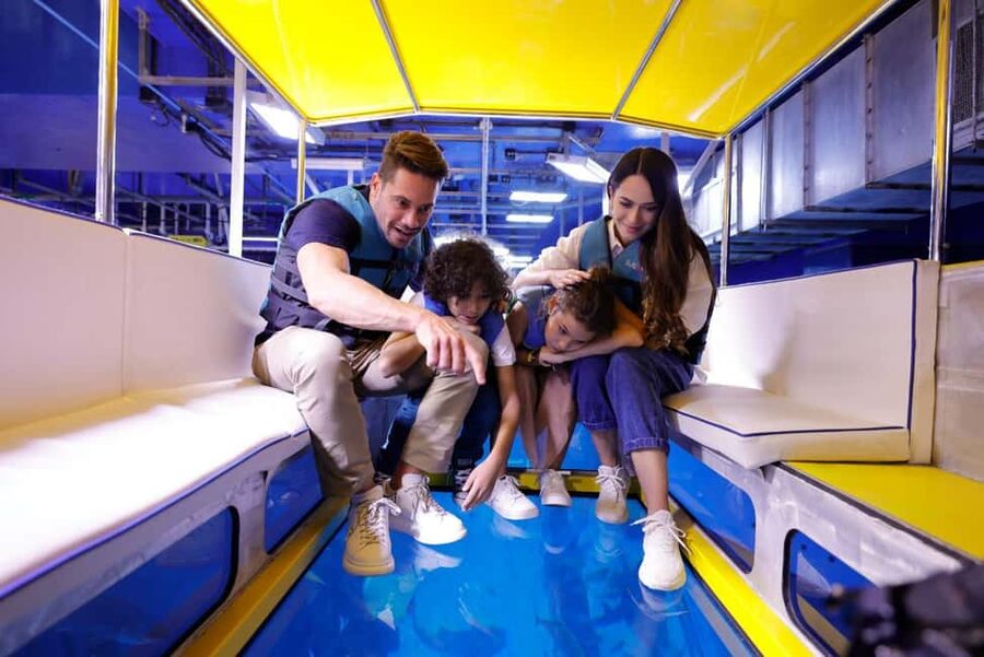 Dubai Aquarium + Sky Views Observatory Tickets - Crossing the Glass Walk