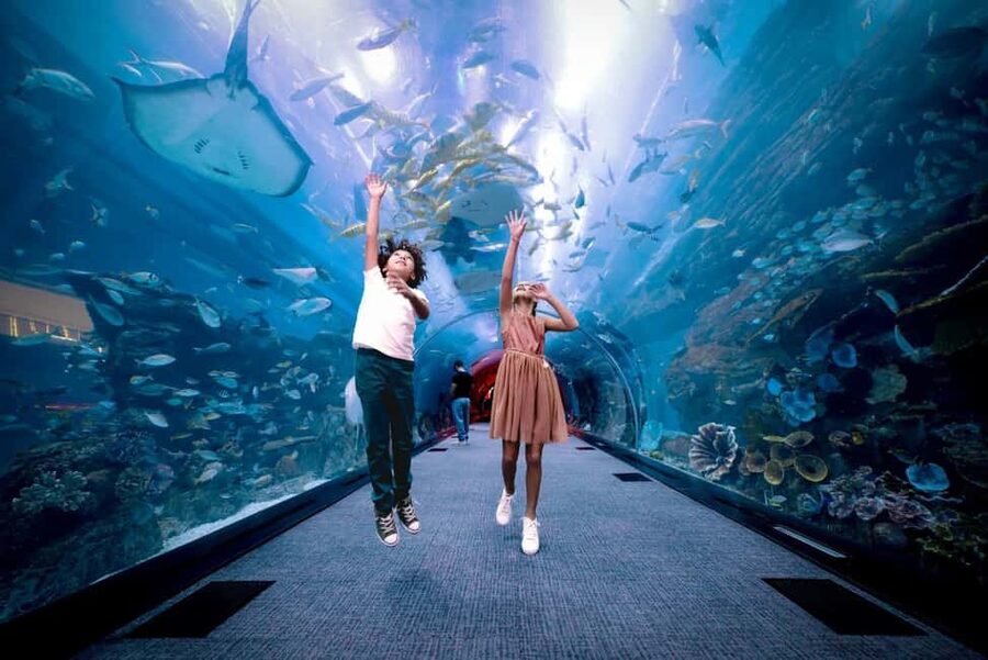 Dubai Aquarium + Sky Views Observatory Tickets - Photos, timing, and practical value