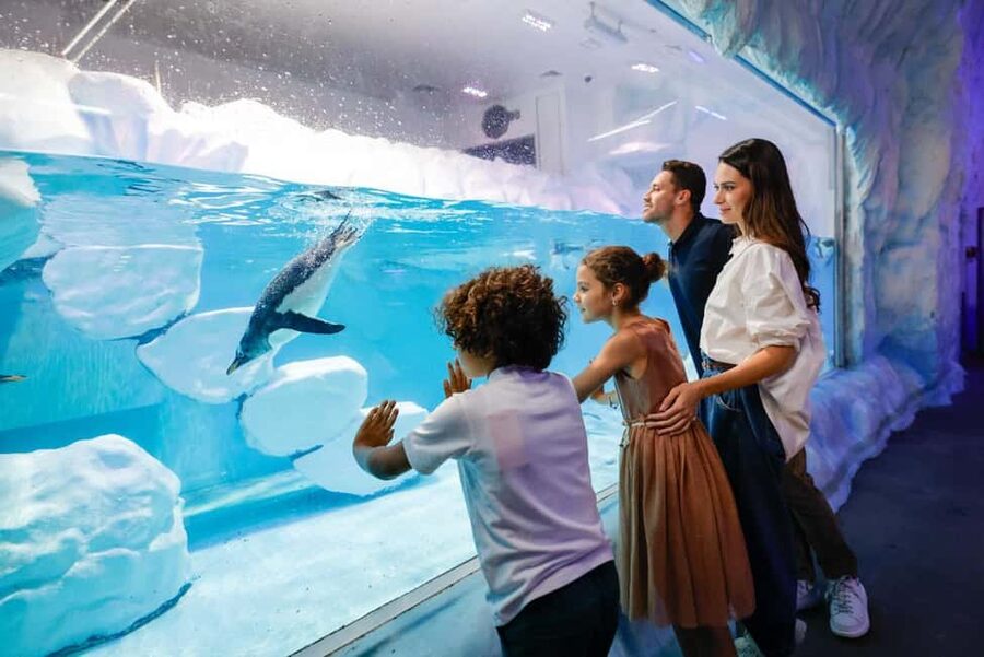 Dubai Aquarium + Sky Views Observatory Tickets - Who will enjoy this combination most