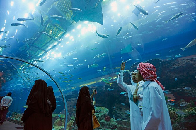 Dubai Aquarium & Underwater Zoo with Penguin Cove - How the crowd affects the experience