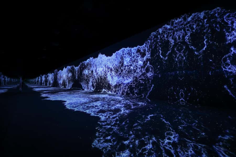 Dubai: Arte Immersive Museum Entry Ticket - Booking flexibility and practical details