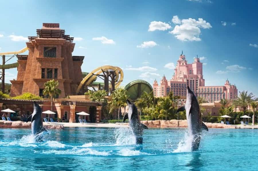 Dubai: Atlantis Dolphin Kayak Trip & Aquaventure Waterpark - Key points to know before booking