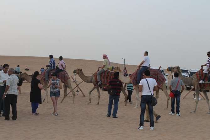 Dubai: Buggy Dune Bashing, Sand Boarding, Camel Ride & Show - Sandboarding for 15 to 20 minutes