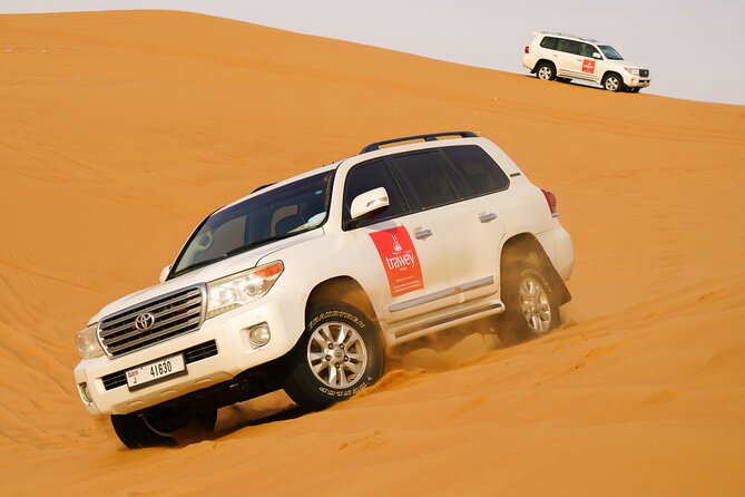 Dubai Buggy Tour in red sands and Desert Safari - Photos, sandboarding, and camel rides
