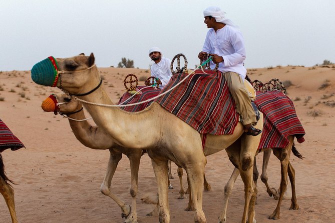 Dubai Camel Desert Safari, Traditional Meal & Heritage Activities - Drumming, Yola Dancing, and Shisha