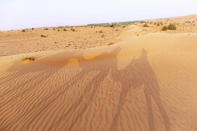 Dubai Camel Desert Safari, Traditional Meal & Heritage Activities - Preparing for the Camel Caravan