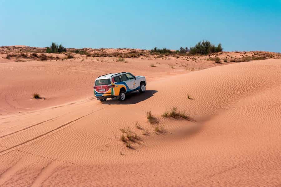 Dubai: Camel Safari, Wildlife & Lakeside Breakfast - Watching oryx and gazelles from the route