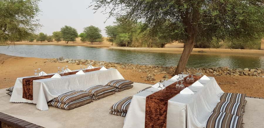 Dubai: Camel Safari, Wildlife & Lakeside Breakfast - Shared transfers and family practicalities