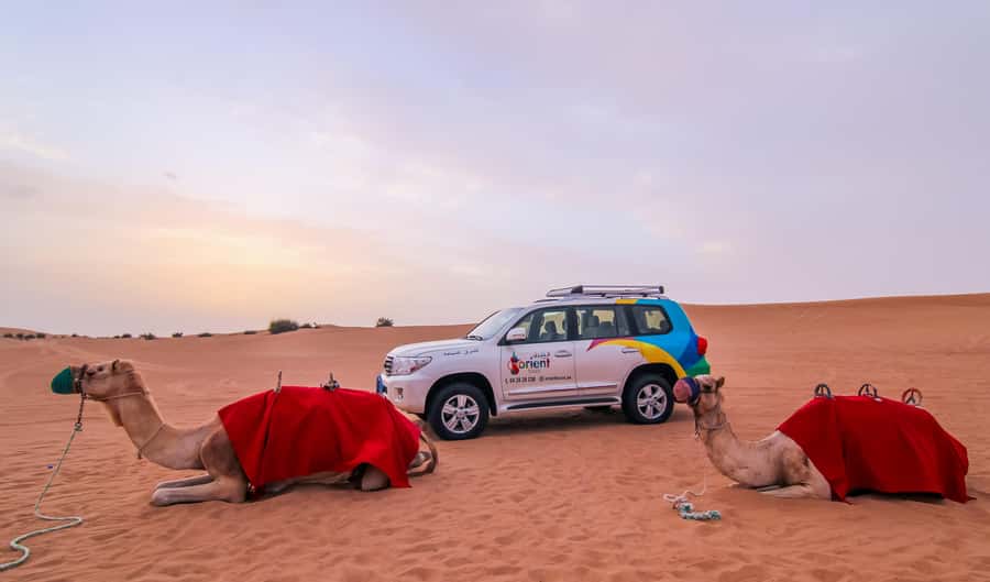 Dubai: City Tour and Desert Experience with Fun Activities - Switching to the Desert 4x4