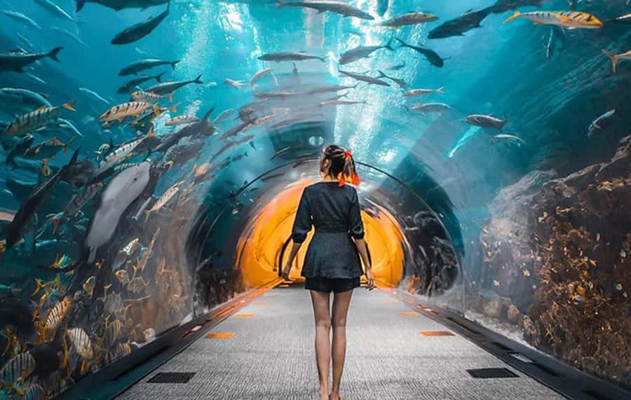 Dubai: City Tour with Burj Khalifa and Underwater Zoo Ticket - One day, two very different Dubais