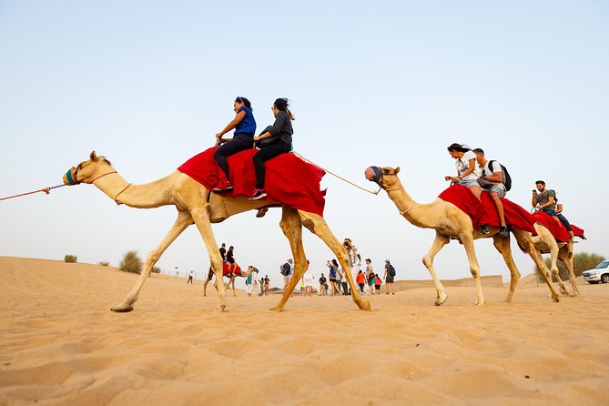 Dubai Combo:City Tour and Premium Desert Safari with all Activities - Key points to know before booking