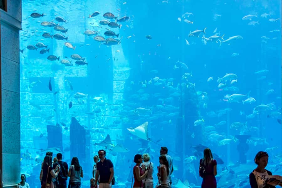Dubai Combo: Morning City Tour & Evening Desert Safari - The break between city sights and desert sand