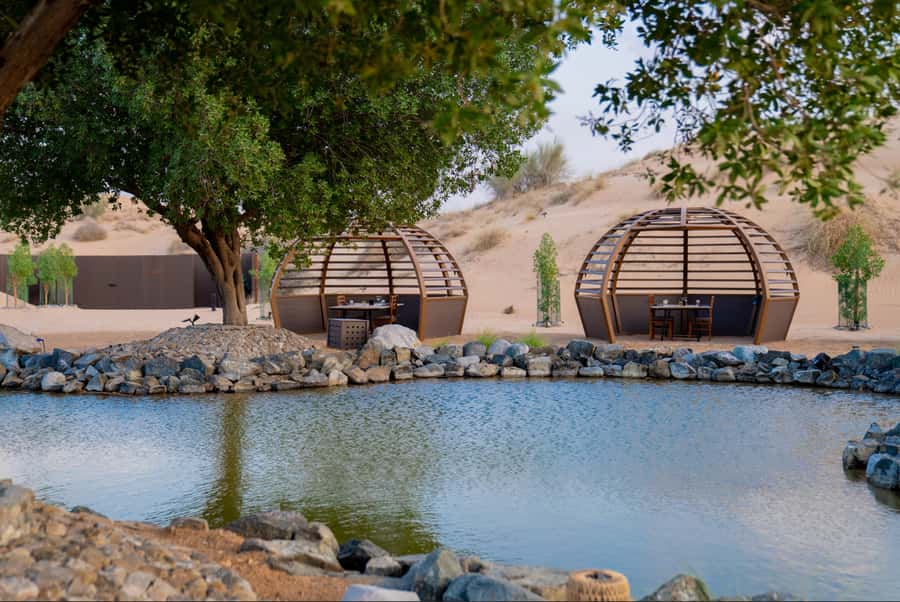 Dubai: Conservation Drive & Platinum Breakfast - The Remote Lake and a Short Camel Ride