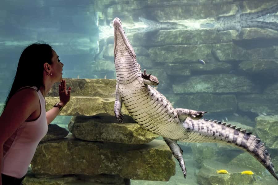 Dubai Crocodile Park Ticket - How long the visit takes