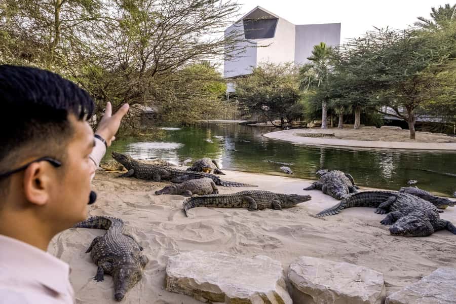 Dubai Crocodile Park Ticket - Who will enjoy this park most?