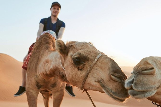 Dubai Desert Adventure: Red Dunes Guided Quad/Polaris ATV & BBQ - What the $81.79 price delivers