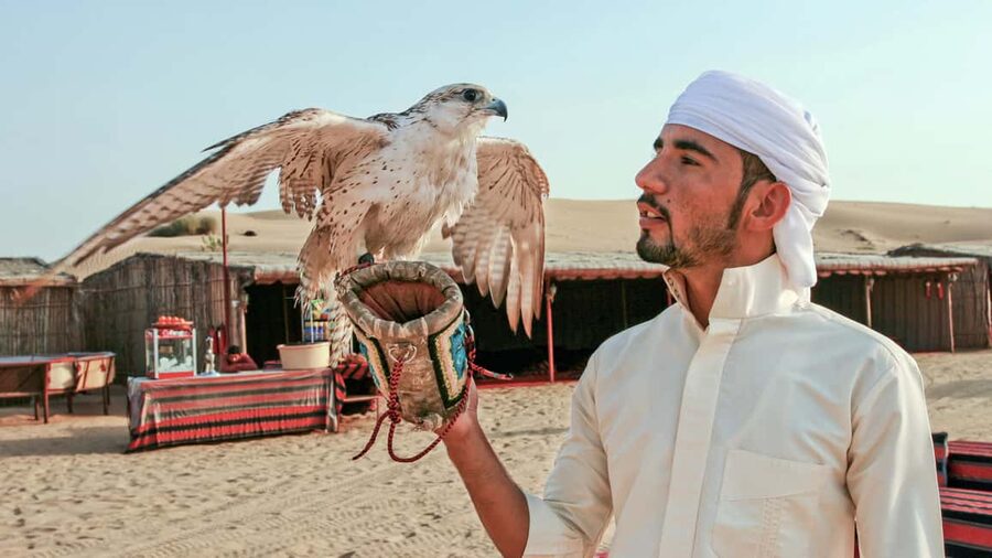 Dubai Desert Adventure: Red Dunes Guided Quad/Polaris & BBQ - A brief camel ride and a Bedouin-style welcome