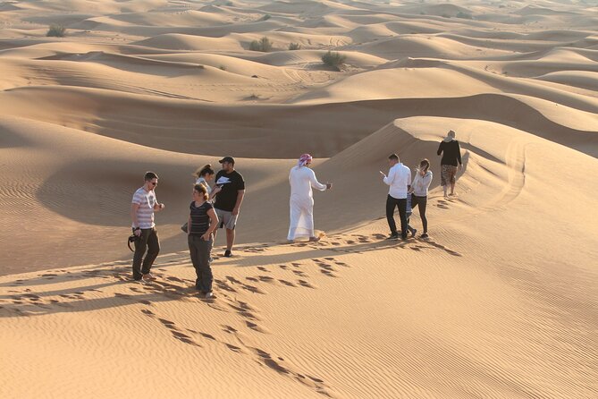 Dubai Desert Bespoke: Red Dunes Safari, Camel Ride & BBQ Options - The short camel ride, with realistic expectations