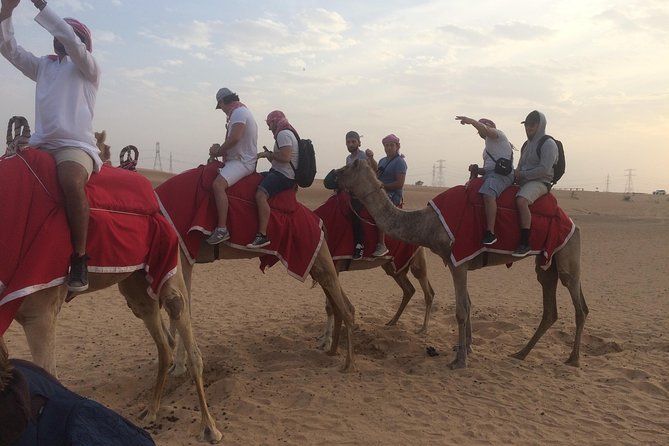 Dubai: Desert Camel Ride with Live Shows & BBQ Buffet Dinner - One hour on a camel at sunset