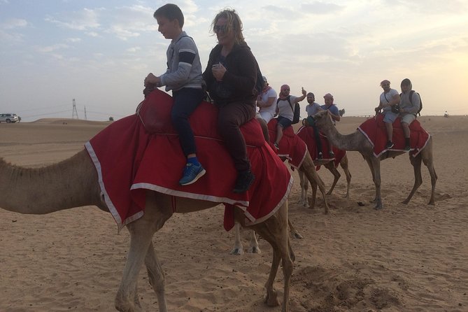 Dubai: Desert Camel Ride with Live Shows & BBQ Buffet Dinner - Tanoura, belly dancing, and the evening program