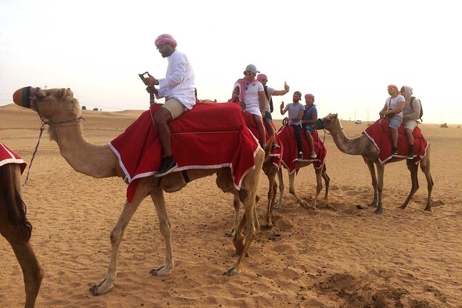 Dubai: Desert Camel Ride with Live Shows & BBQ Buffet Dinner - Guides, transport, and the human side of the tour