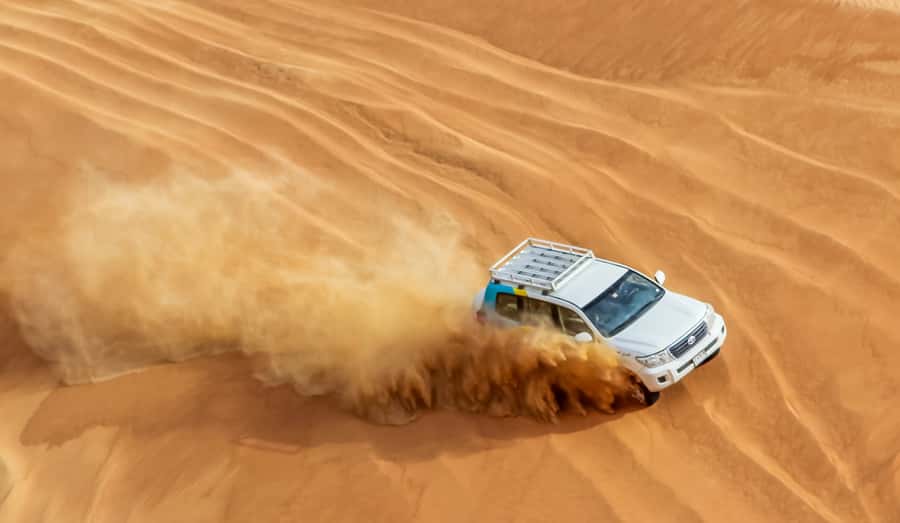 Dubai Desert Morning Drive with Wildlife Experience - Sandboarding on the open dunes