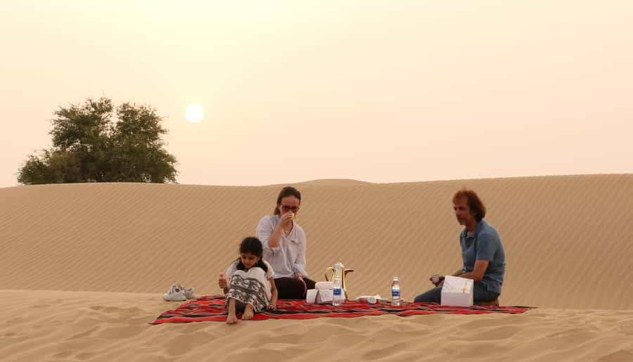 Dubai Desert Morning Drive with Wildlife Experience - What the $85 price really covers