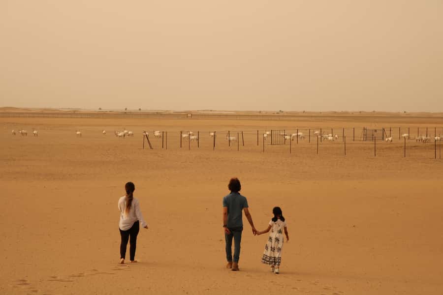 Dubai Desert Morning Drive with Wildlife Experience - Who should book this desert experience