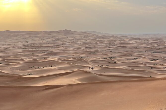 Dubai Desert Safari, Camel, Live BBQ & Shows (Private 4x4 Car) - A private start from Dubai City limits