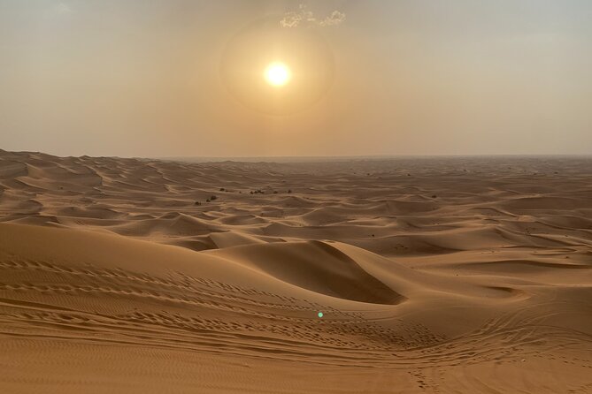 Dubai Desert Safari, Camel, Live BBQ & Shows (Private 4x4 Car) - What the $277.71 group price really means