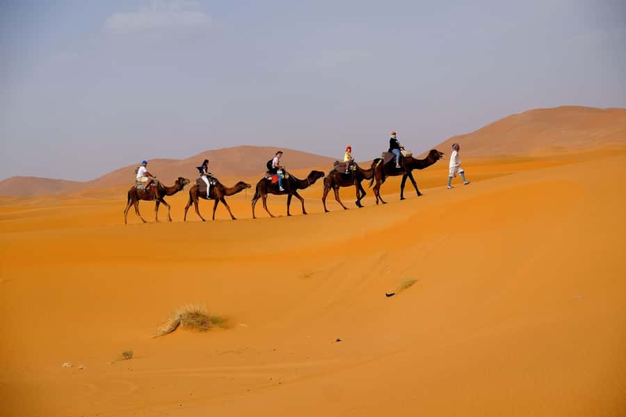 Dubai: Desert Safari, Camel Ride, and BBQ Dinner - Leaving Dubai for the open desert