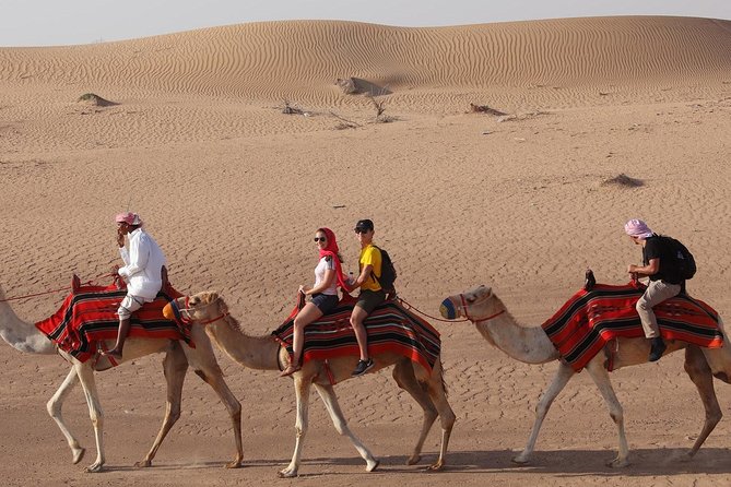 Dubai Desert Safari, Camel Ride, Refreshment & Quad Bike Option - A fast ride from Dubai to the open desert