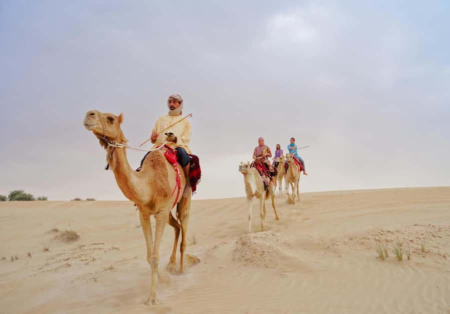 Dubai: Desert Safari, Camel Ride, Sandboard & Buffet Dinner - Dune bashing in a luxury 4x4