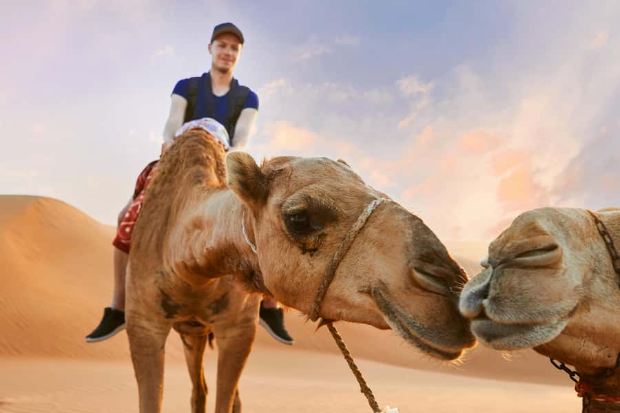 Dubai Desert Safari - Camel Ride, Sandboarding & 30 Min Quad - Sandboarding on the Highest Dune
