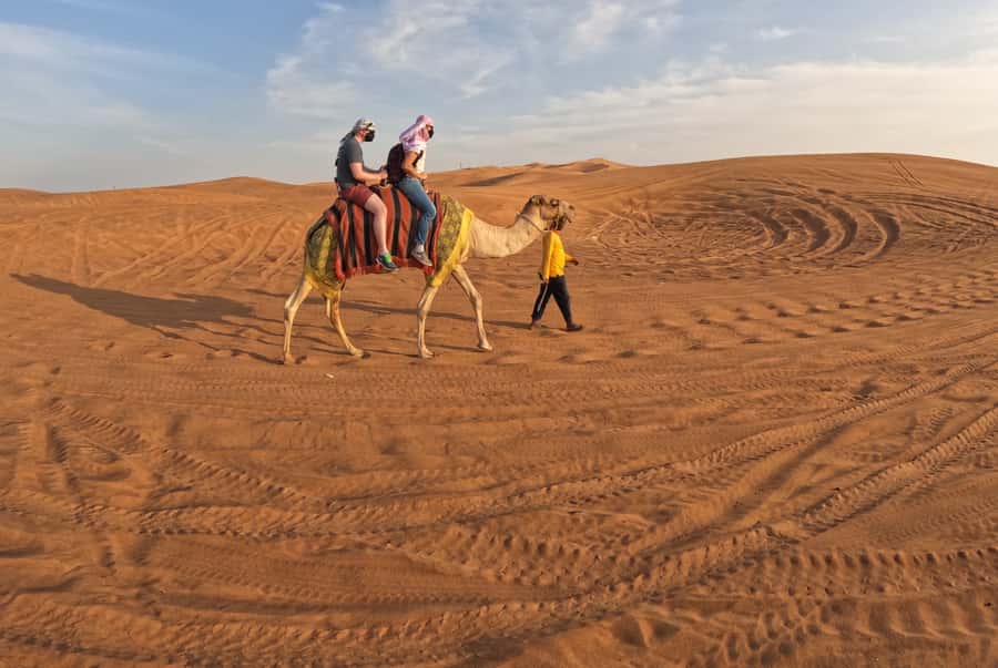 Dubai: Desert Safari, Camel Ride, Sandboarding, Quad Bike - Who should book this safari?