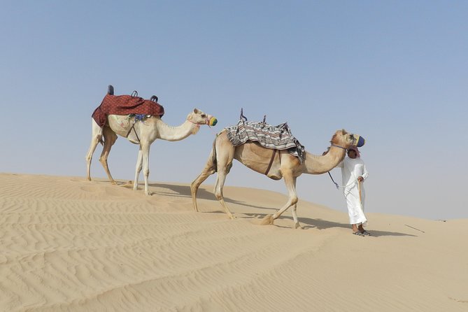 Dubai Desert Safari Dune Bashing, 60min ATV Quad, Camel Ride, BBQ - Who Will Enjoy This Most