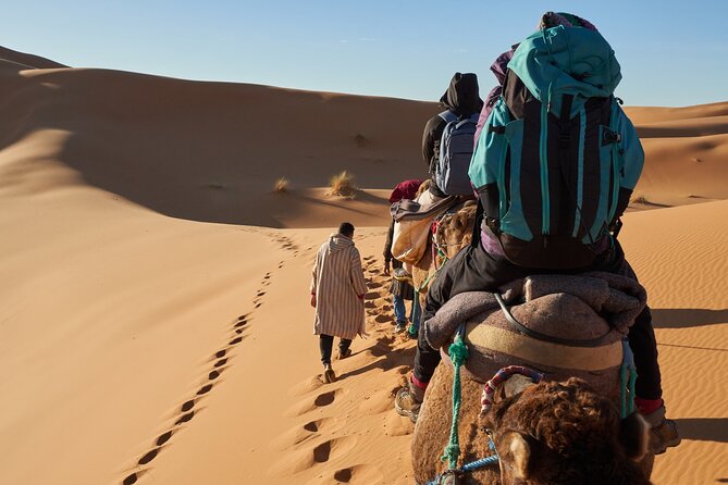 Dubai Desert Safari: Premium Adventure ,Camel Riding & Live Shows - Key points to know before booking