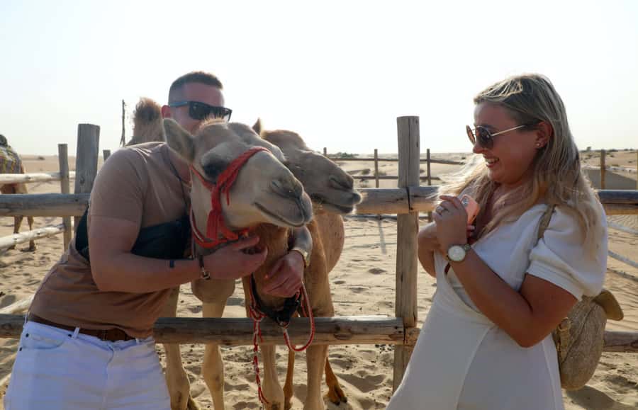 Dubai: Desert Safari, Quad Bike, Sandboarding, Camels & BBQ - Camel riding and the desert camp