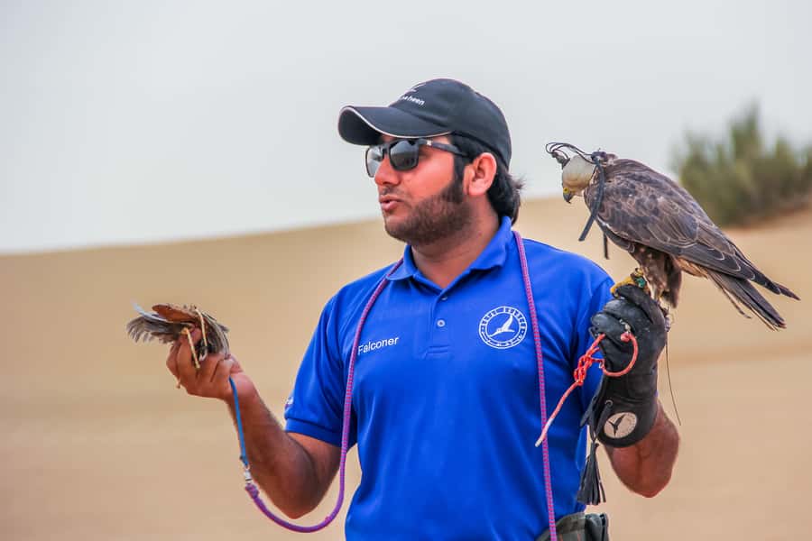 Dubai Desert Safari, Quad Biking, Camel Ride, & Sandboarding - Sandboarding on the soft slopes