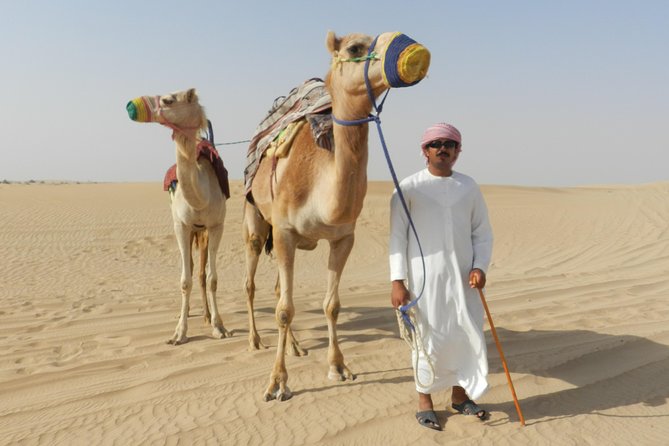Dubai Desert Safari with BBQ, 3 Shows & Camel Ride at Majlis Camp - Dinner and the three evening shows